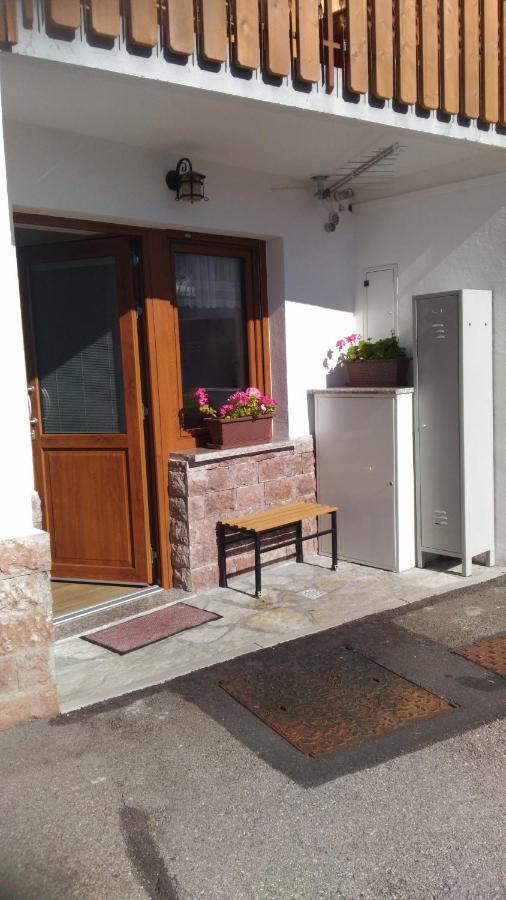 Da Nicola E Laura Apartment Santo Stefano Di Cadore Exterior foto